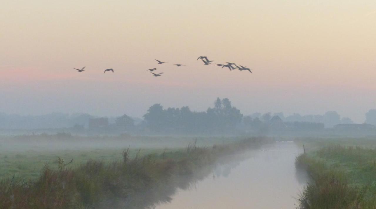 Polderlodge Hillegom Buitenkant foto